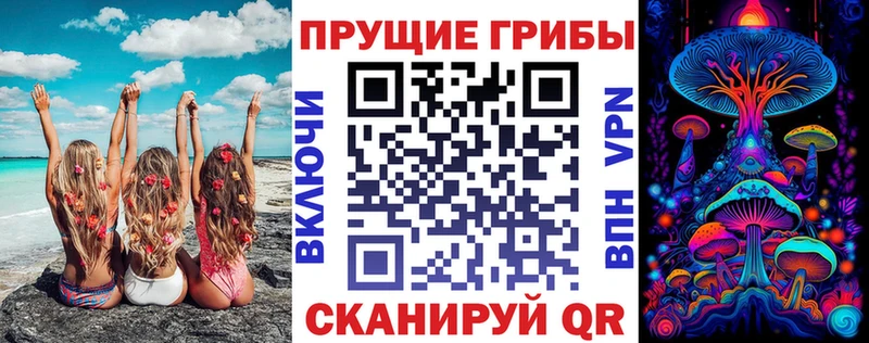дарнет шоп  Брянск  Галлюциногенные грибы прущие грибы 